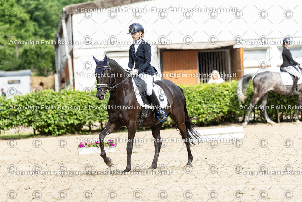 CL5A5512 | Emilia Reinking Fotografie - Realisiert mit Pictrs.com