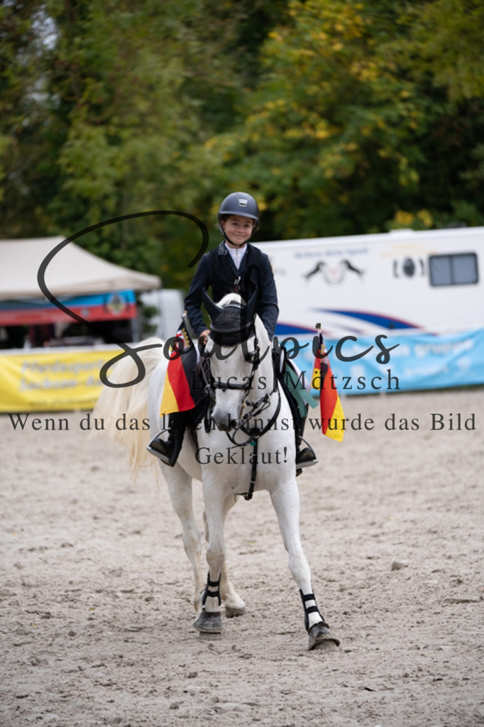 A7V00706 | Pferdefotograf