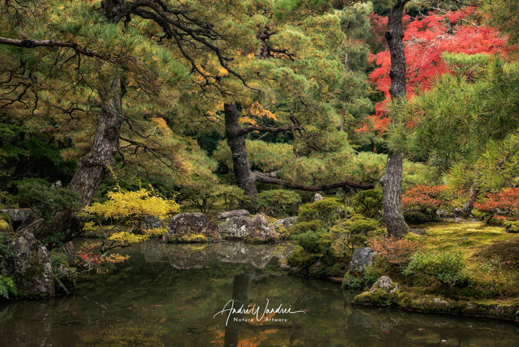 Japanischer Garten | Andre Wandrei - Nature Artworx - Realisiert mit Pictrs.com