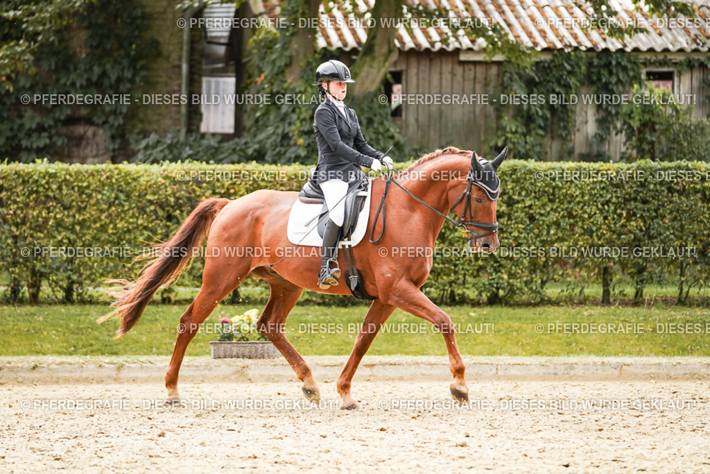 DSC01789 | Pferdegrafie