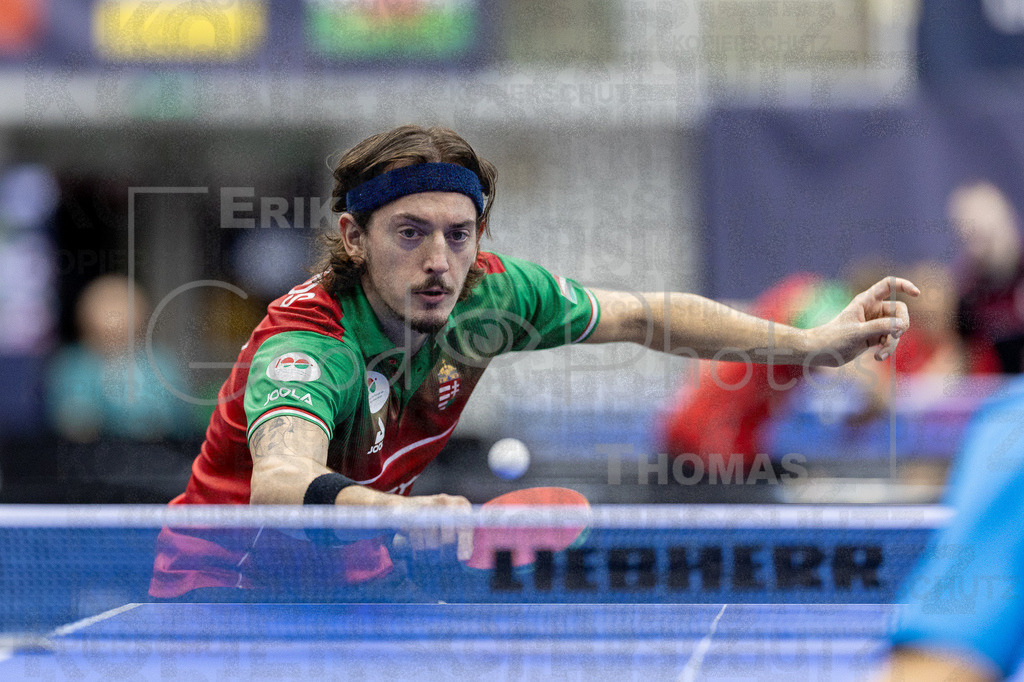 European_Championships_2024-10-15_102 | good-photos - Realisiert mit Pictrs.com