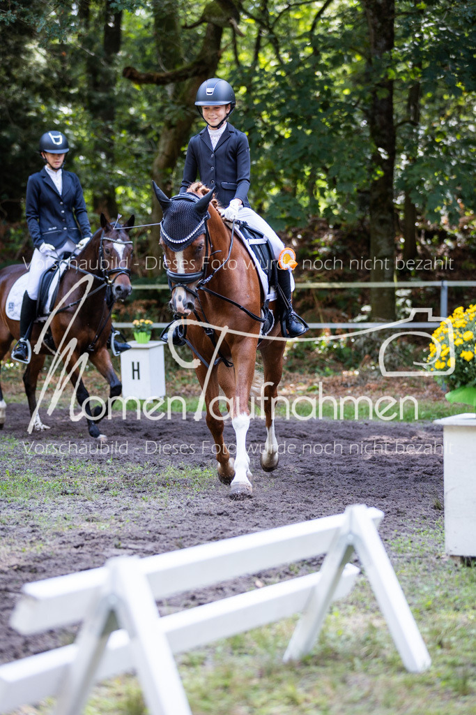 HB-Reiter-WB-096 | MomenTaufnahmen Pferdesportfotos