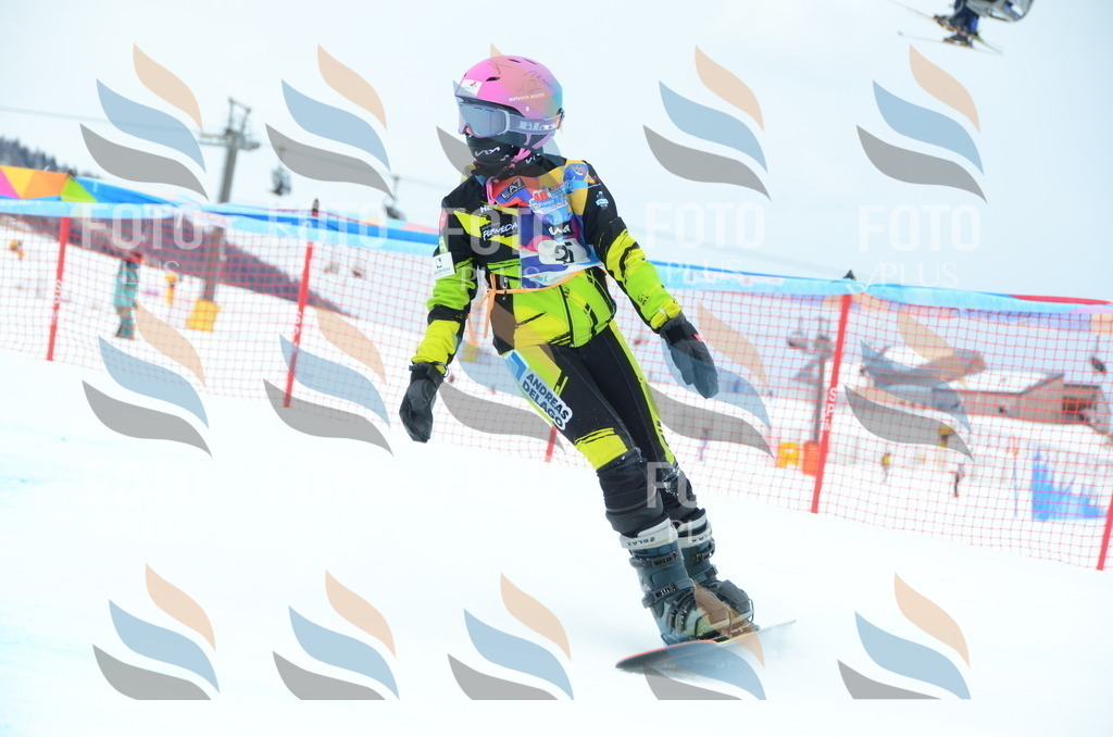 DSC_2288 | holidayphoto