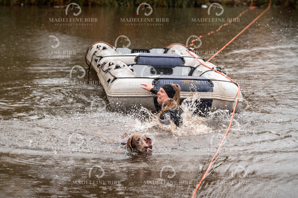 madeleinebirr-fotografie2025.campcanis.11-12Uhr-356 | hundefotografie-birr