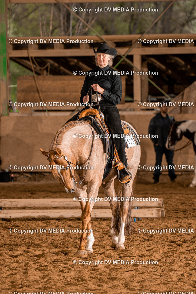 BAL00219 | dv-media-shop - Realisiert mit Pictrs.com