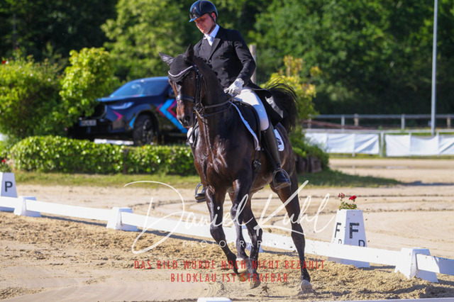 DKP42739 | Turniersportfotografie; Pferdefotografie; Dressurfotografie