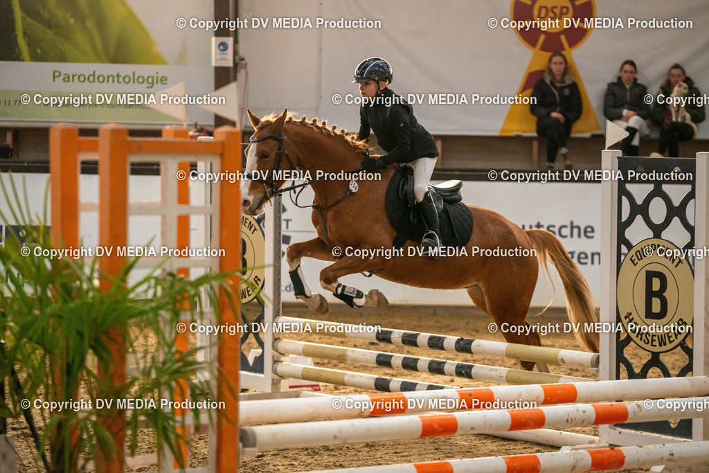 Kranichstein Tag 2-1069 | dv-media-shop - Realisiert mit Pictrs.com