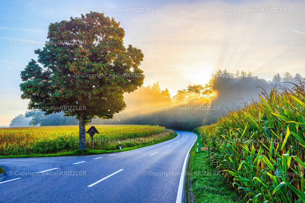 _J3A8549 | medienkrizzler - Realisiert mit Pictrs.com