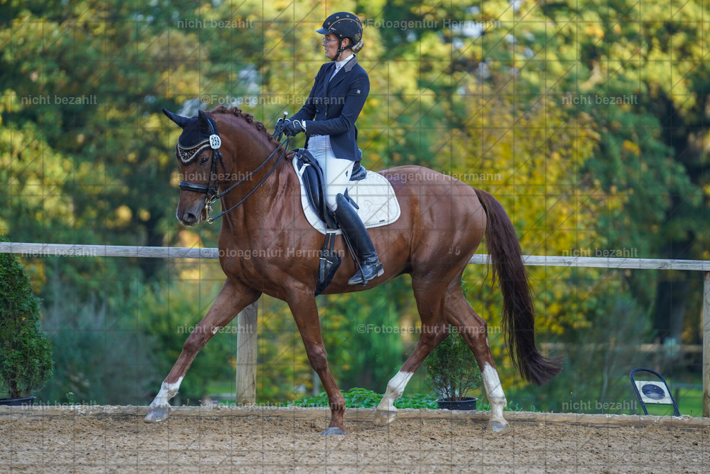 20221007-FAH00334 | Diessen am Ammersee, 2022, Dressur- und Springturnier, Reitsportbilder, Turnierfotografen Bayern, Pferdefotografen, Fotoagentur Herrmann, Turnierbilder