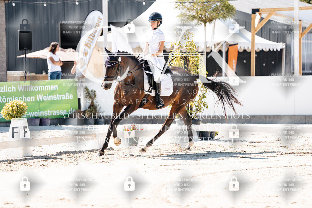 CK902274 | Turnierfotografie Pferdefotografie Trier Rheinland-Pfalz Pferdesport Reitsport Tierfotografie Sportfotografie Pferdevideo Pferdevideografie Equestrianvideography equestrianphotography  - Realisiert mit Pictrs.com