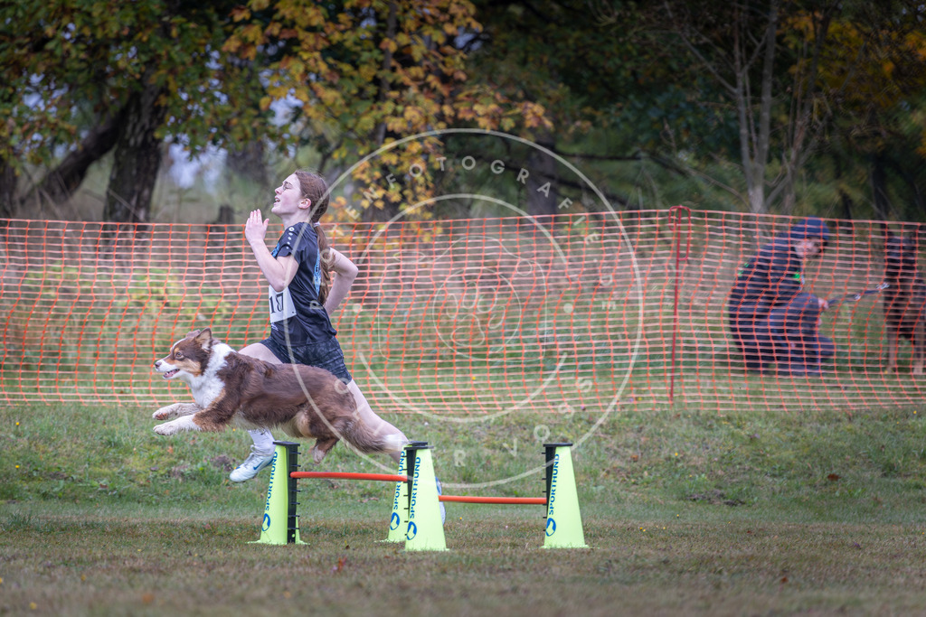 Pfotenfotografie_DV3A0496 | Hundefotografie, Tierfotograf, Pfotenfotografie, Fotoshooting Hund, Hunde Portrait, Hundesport, Hundeportraits, Heideshooting, Hunde, Sportfotograf, Hundefotograf, Turnierhundsport, THS,  - Realisiert mit Pictrs.com