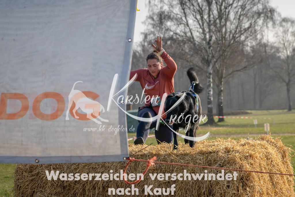 _ZZ91167 | kk-dogfotos