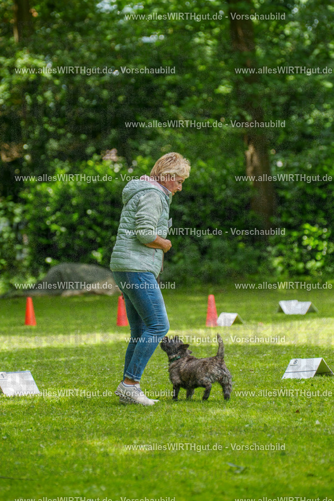 @allesWIRTHgut_Tierfotografie - www.allesWIRTHgut.de - 7R504521 | Professionelle Tierfotografie in Mönchengladbach von Daniel Wirth (allesWIRTHgut). Liebevolle & natürliche Bilder von Hunden & Katzen für unvergessliche Erinnerungen.