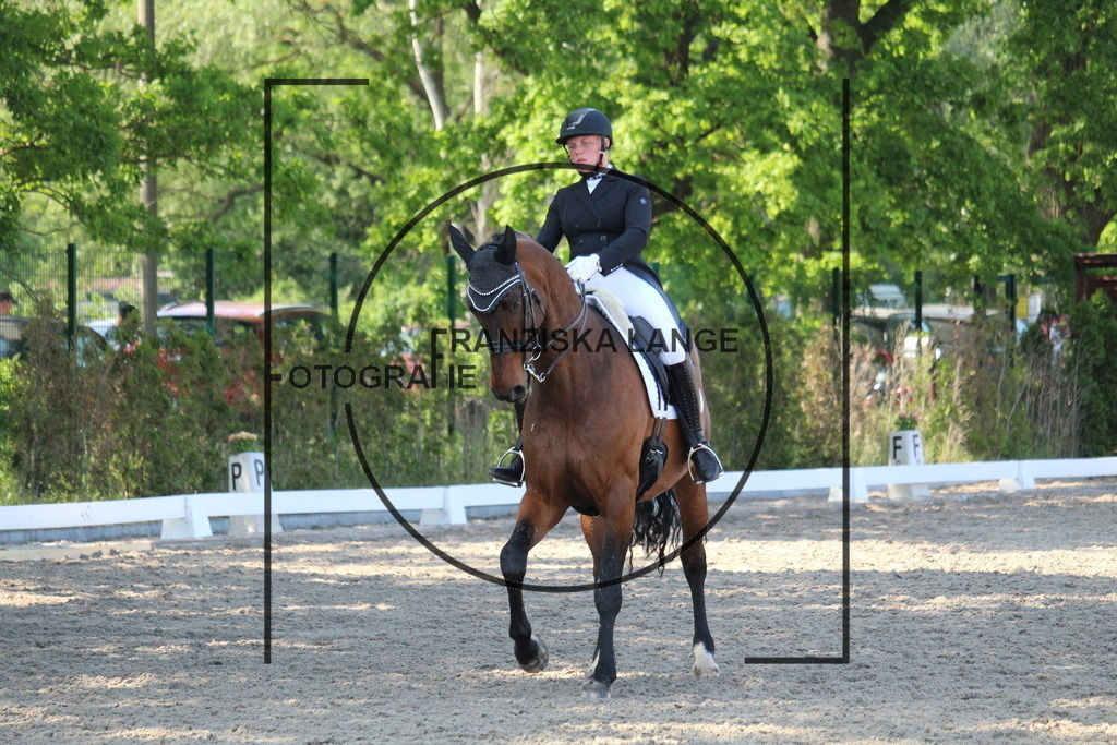 IMG_5638 | franziskalange - Realisiert mit Pictrs.com