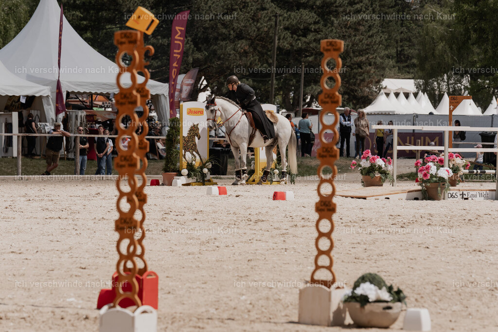 WE_ST_Stoib_321_PI2025_1150 | Pferd International München 2025
