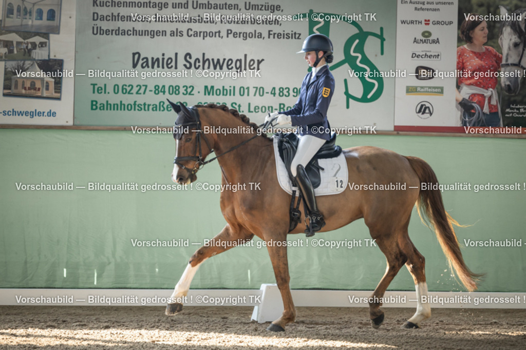 _D5A0597 | Emotionale Pferde- & People-Fotografie rund um Heidelberg, Leimen & Umgebung. Natürliche Fotos von Pferd, Mensch & Familie. Jetzt Termin sichern!