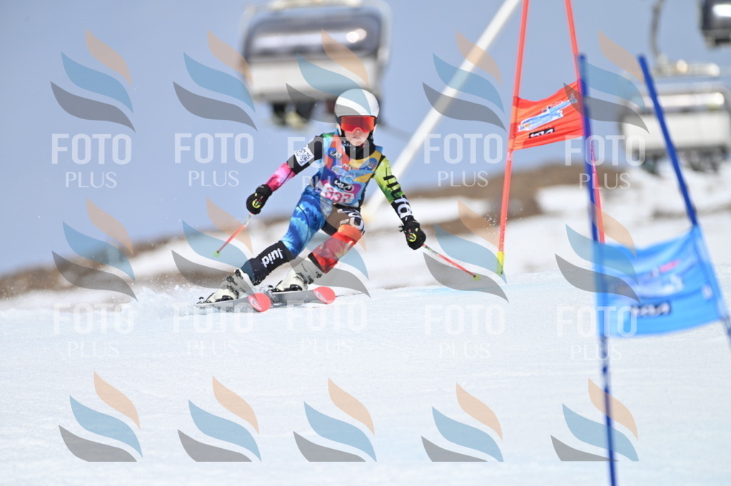 BGV_3392 | holidayphoto