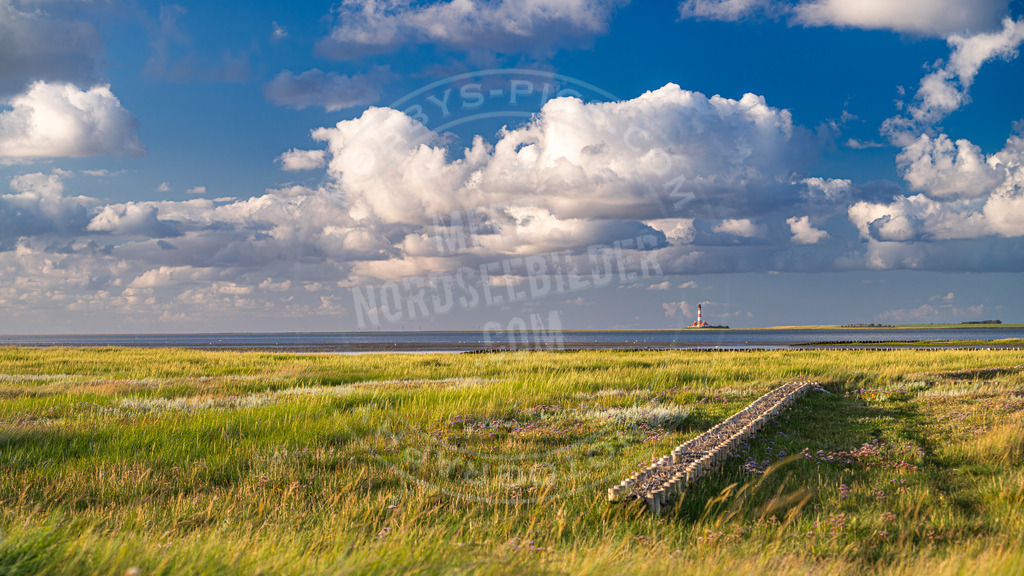 Blick über die Salzwiesen | Vorland Nordsee
