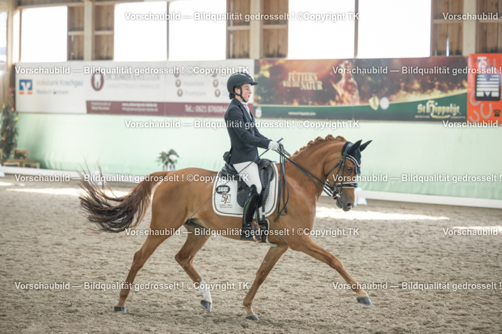 _D5A2593 | Emotionale Pferde- & People-Fotografie rund um Heidelberg, Leimen & Umgebung. Natürliche Fotos von Pferd, Mensch & Familie. Jetzt Termin sichern!