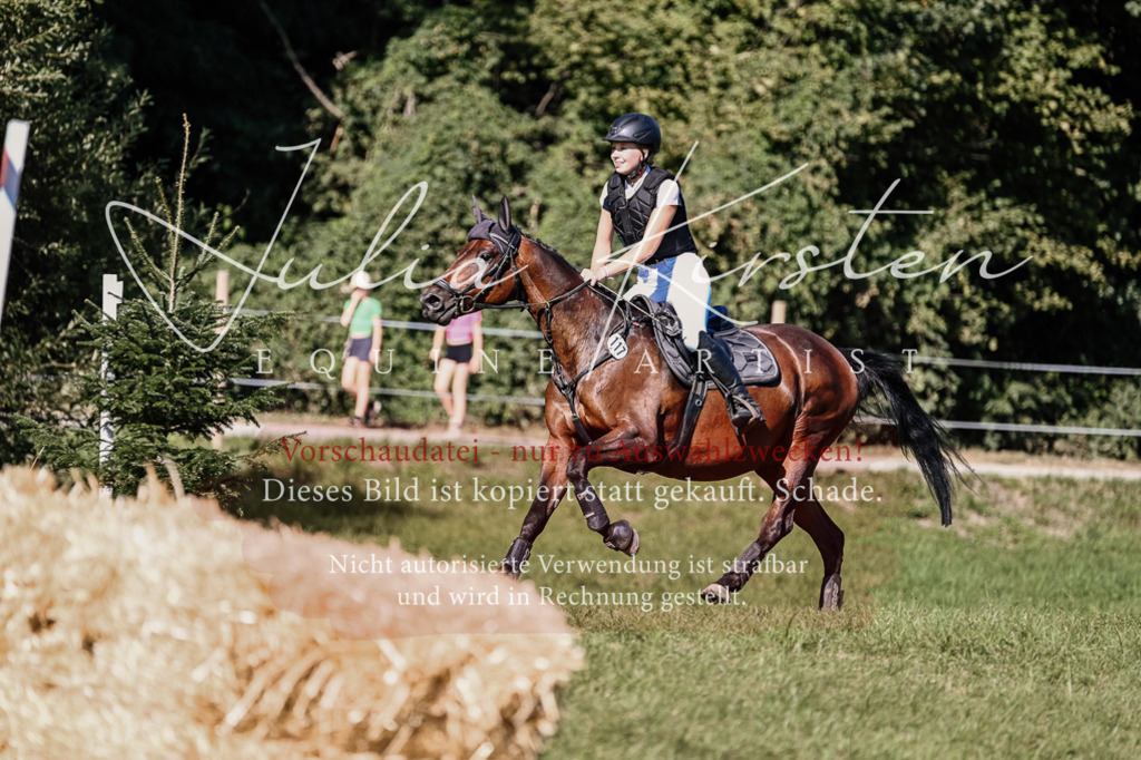 DSC_3293 | Pferde- und Turnierfotografie in Westsachsen. Pferdeportraits, Auftragszeichnungen und intuitive Kunst.
