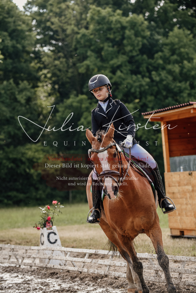 DSC_9125 | Pferde- und Turnierfotografie in Westsachsen. Pferdeportraits, Auftragszeichnungen und intuitive Kunst.