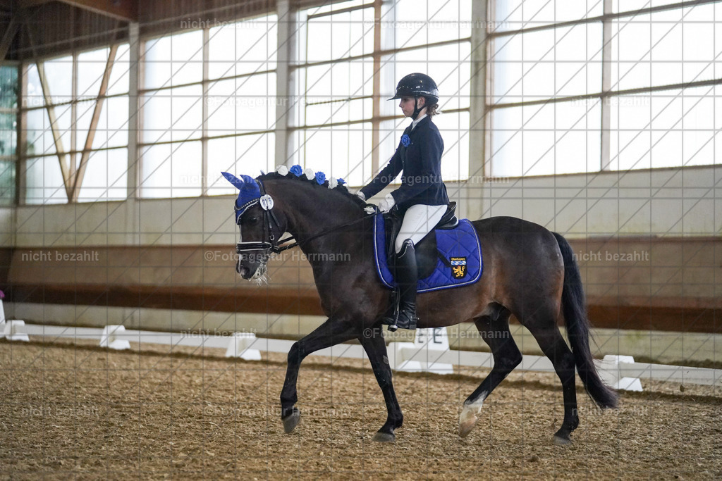 20240825-FAH09001 | Turnierbilder, Reitsportfotos, LAPO, Landesponyturnier, Turnierfotografen Bayern