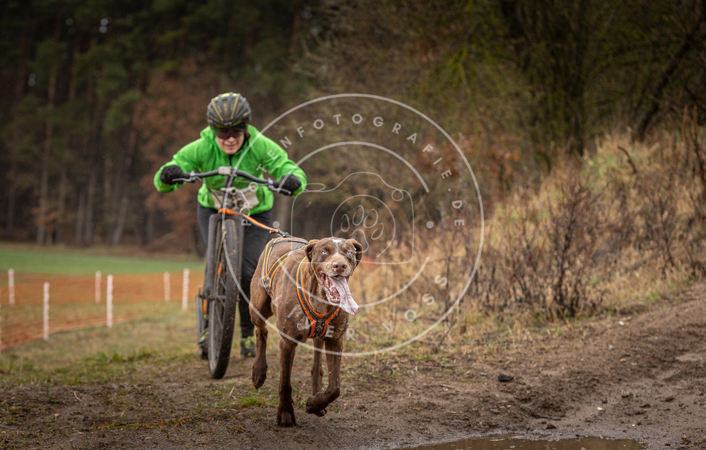 DV3A9465 | Hundefotografie, Tierfotograf, Pfotenfotografie, Fotoshooting Hund, Hunde Portrait, Hundesport, Hundeportraits, Heideshooting, Hunde, Sportfotograf, Hundefotograf, Turnierhundsport, THS,  - Realisiert mit Pictrs.com