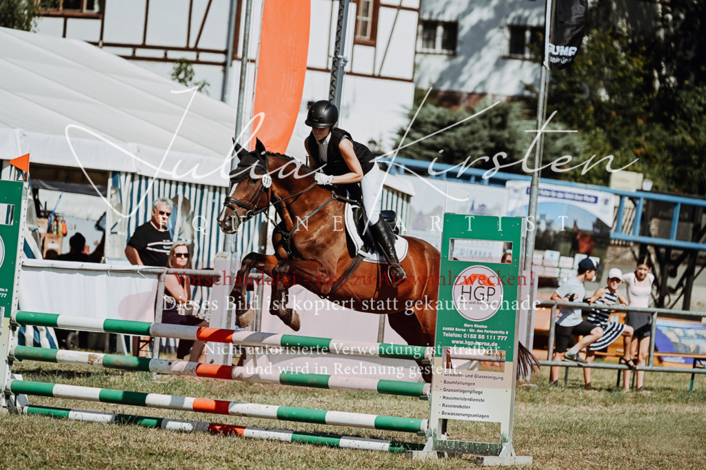 DSC_9560 | Pferde- und Turnierfotografie in Westsachsen. Pferdeportraits, Auftragszeichnungen und intuitive Kunst.