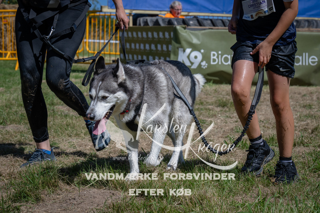 1232_ZZ95616 | kk-dogfotos