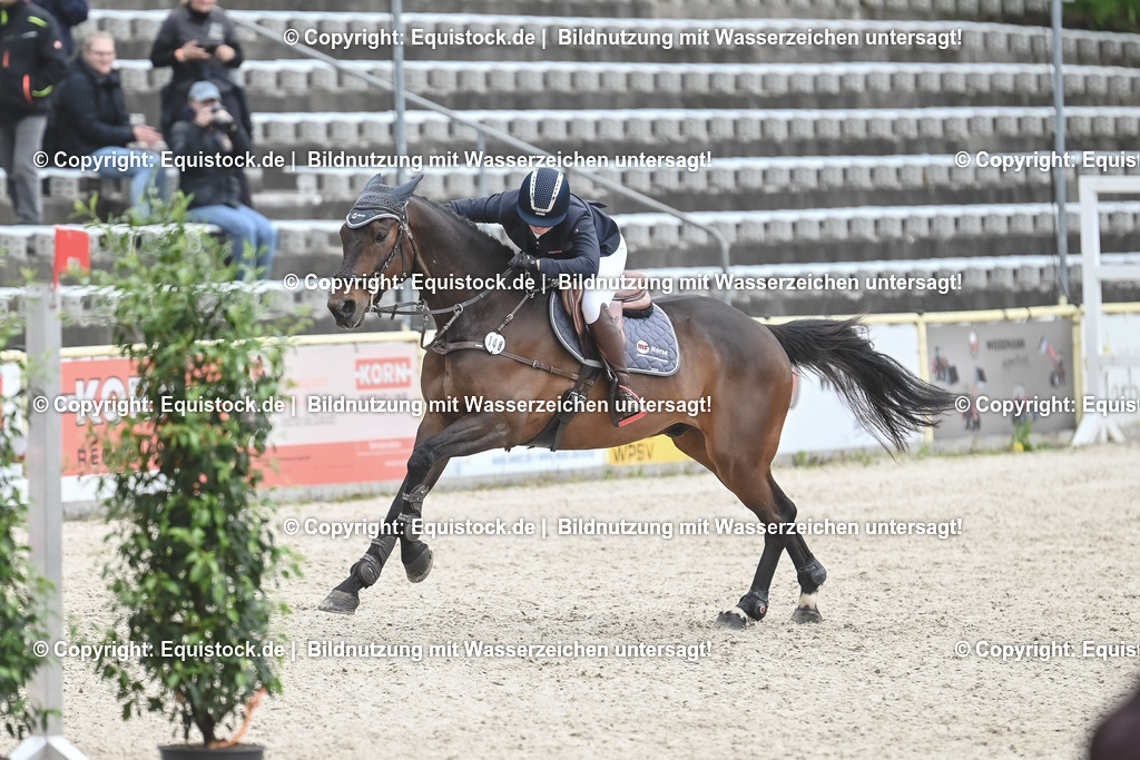 20230514_CCI4_Springen_0257 | equistock