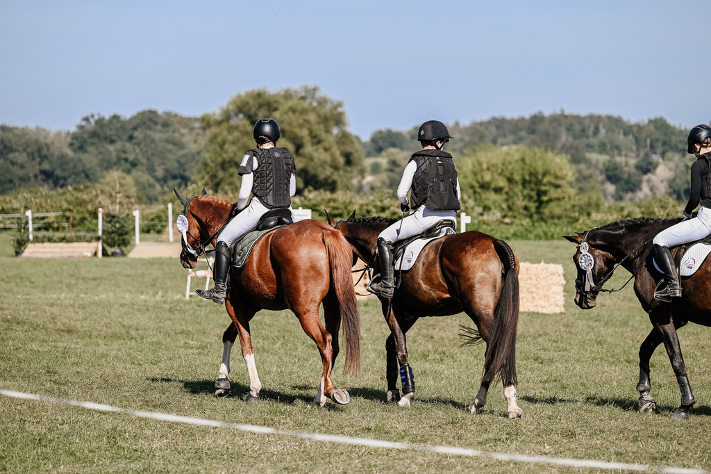DSC_3709 | Pferde- und Turnierfotografie in Westsachsen. Pferdeportraits, Auftragszeichnungen und intuitive Kunst.