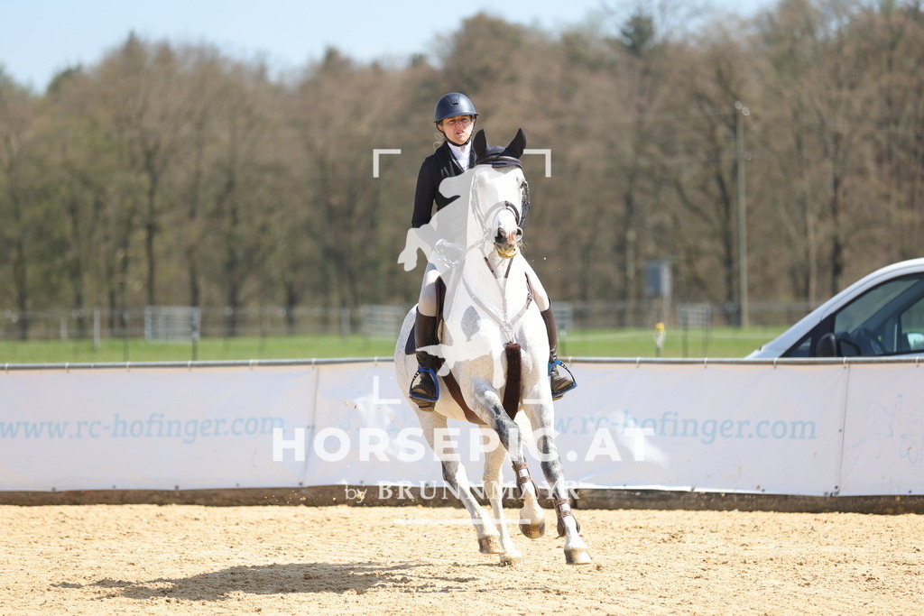 0P6A0785 | Willkommen bei Brunnmayr - Design & Fotografie – Ihrem Spezialisten für Reitturniere und Pferdeveranstaltungen in Oberösterreich, Salzburg und Bayern! Seit über 17 Jahren sind wir leidenschaftlich dabei.