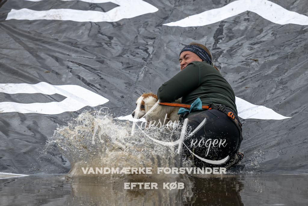 1330_ZZ92168 | kk-dogfotos