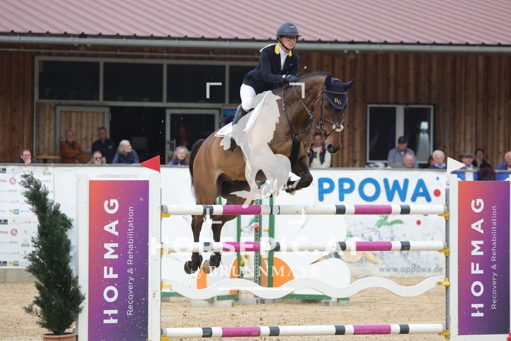 0P6A7680 | Willkommen bei Brunnmayr - Design & Fotografie – Ihrem Spezialisten für Reitturniere und Pferdeveranstaltungen in Oberösterreich, Salzburg und Bayern! Seit über 17 Jahren sind wir leidenschaftlich dabei.