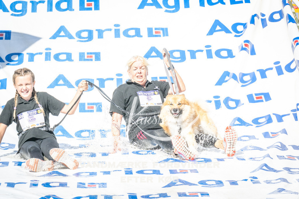 1605_ZZ98480 | kk-dogfotos