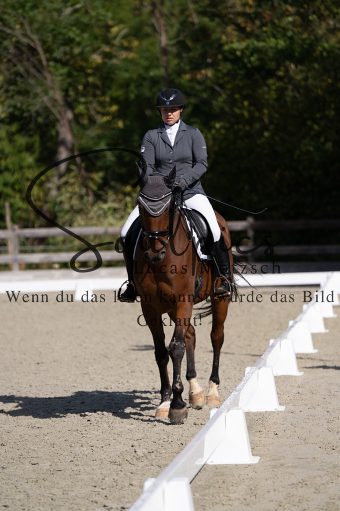 A7V07009 | Turnier/Reitfotograf