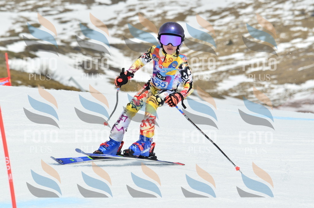 _ELE2932 | holidayphoto