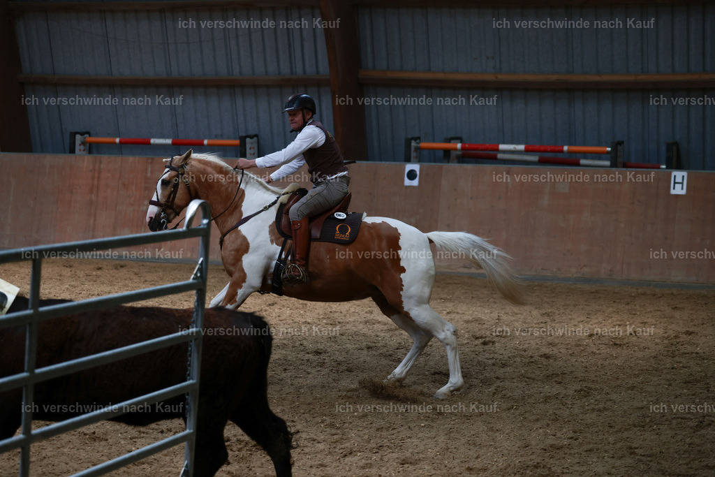 Masterclass_stoibphotography_C2_L7591.JPG | working equitationturnier fotograf videograf stoibphotography marixx film working equitation deutschland reitsport turnierfotografie eventfotografie equestrian events