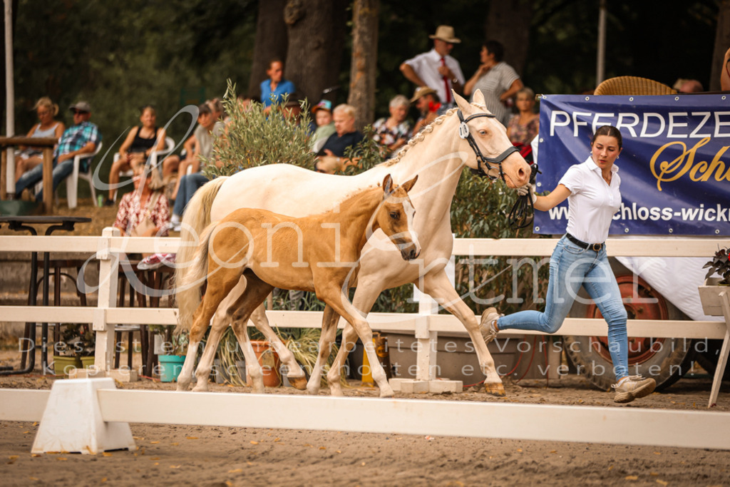 SaPA00244 | Leoni Ertmer Photography - Realisiert mit Pictrs.com