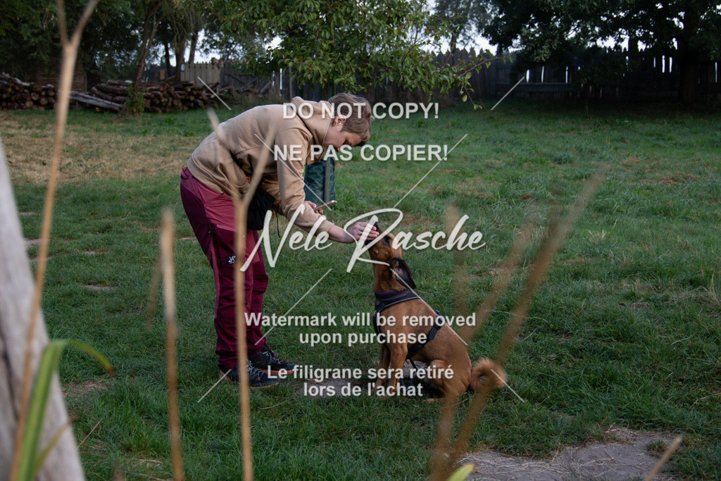 nelerasche_slaw24Sa_07 | nelerasche
