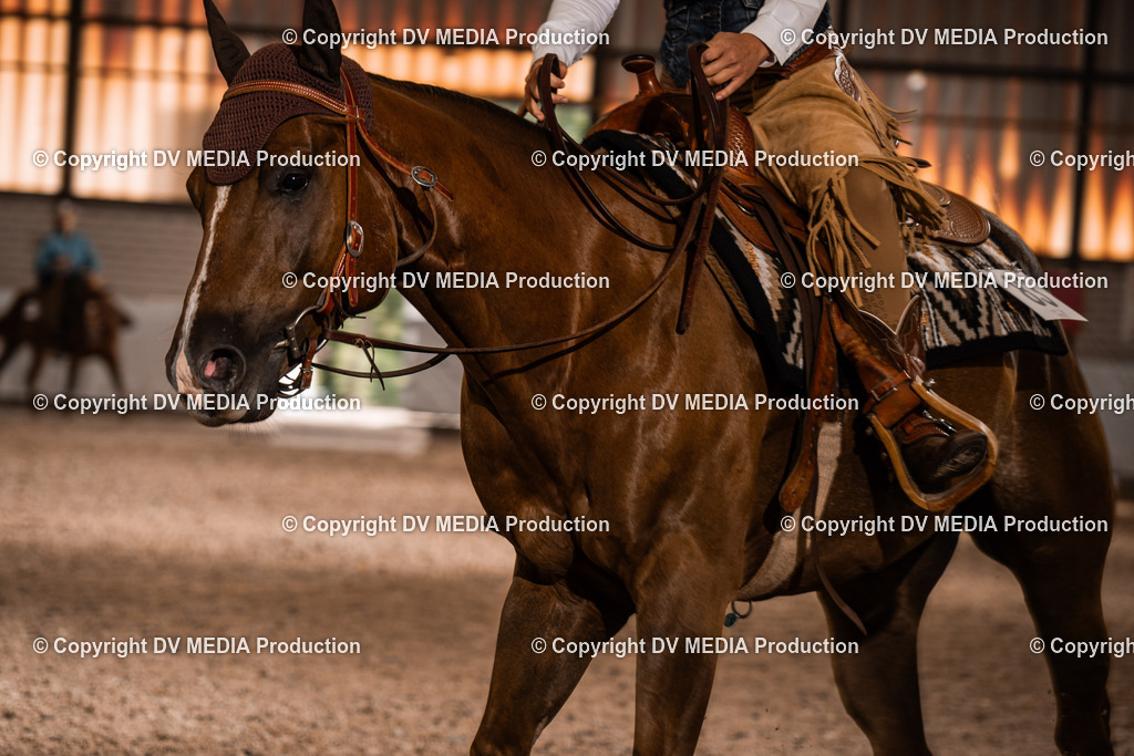 ZH300347 | dv-media-shop - Realisiert mit Pictrs.com