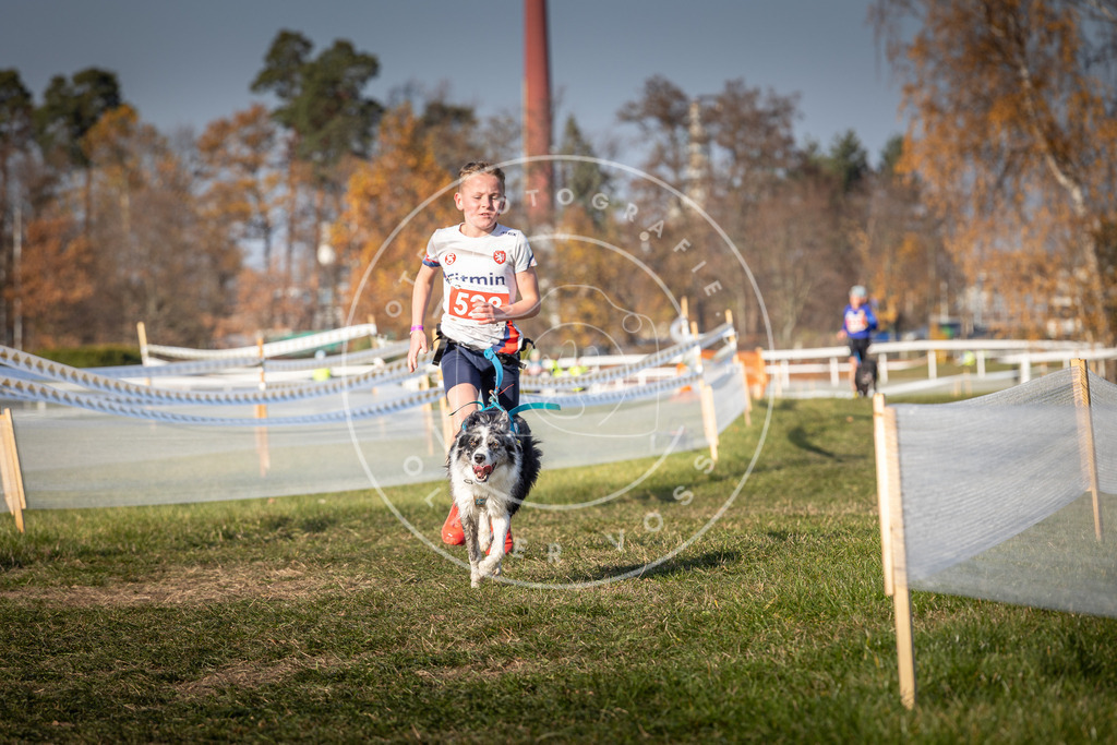 CaniXpix_0L8A8770 | Hundefotografie, Tierfotograf, Pfotenfotografie, Fotoshooting Hund, Hunde Portrait, Hundesport, Hundeportraits, Heideshooting, Hunde, Sportfotograf, Hundefotograf, Turnierhundsport, THS,  - Realisiert mit Pictrs.com