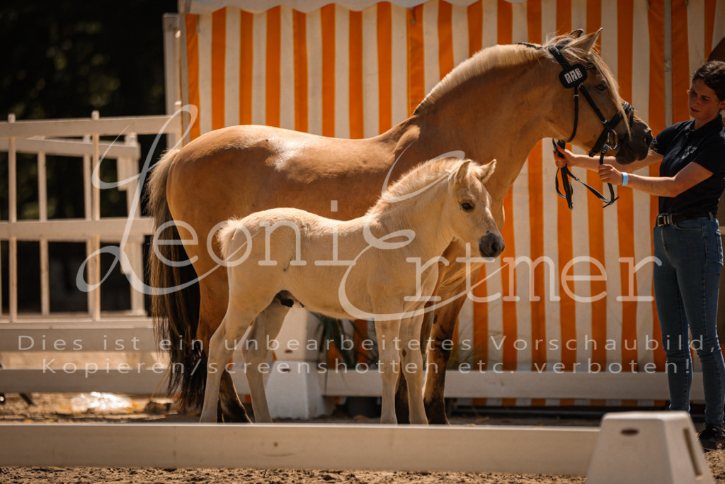 05.DoF00072 | Leoni Ertmer Photography - Realisiert mit Pictrs.com