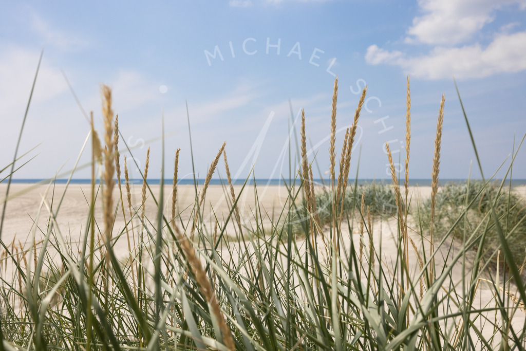 2021-07-24 Strand Duenen Moewen SPO - 004 | Dünengras am Strand von St.Peter-Ording - Realisiert mit Pictrs.com