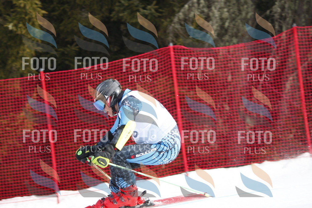 D5797 | holidayphoto