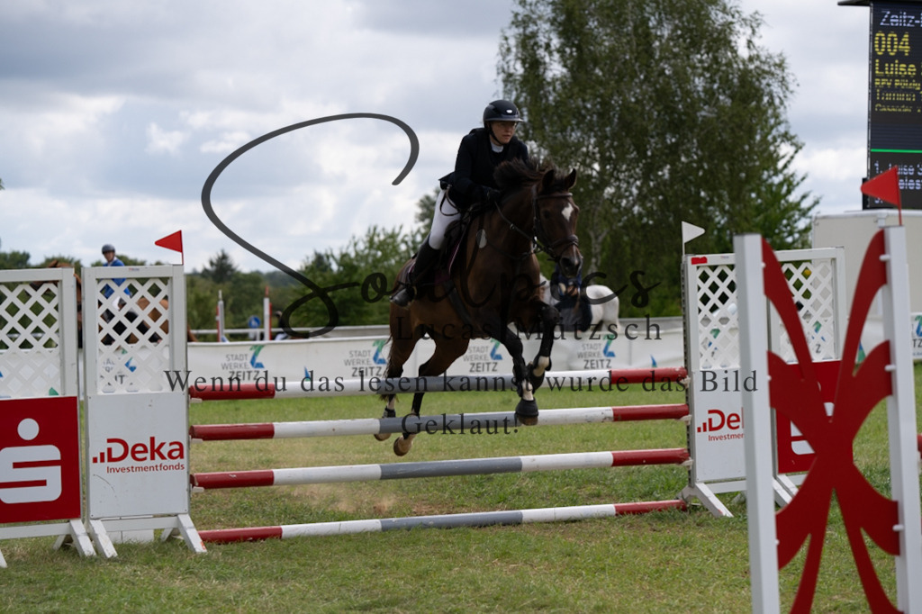 A7V05282 | Pferdefotograf