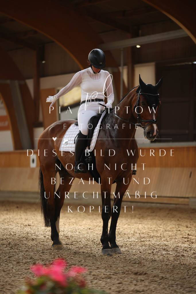 IMGS2948 | pl-fotografie