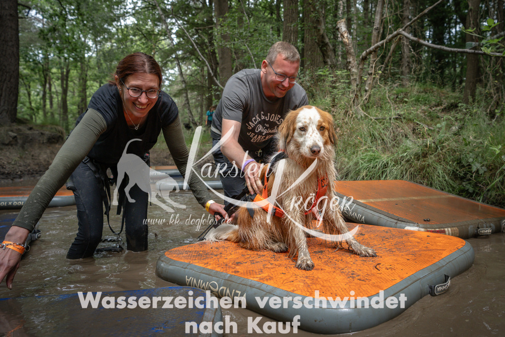1238_ZZ90395 | kk-dogfotos