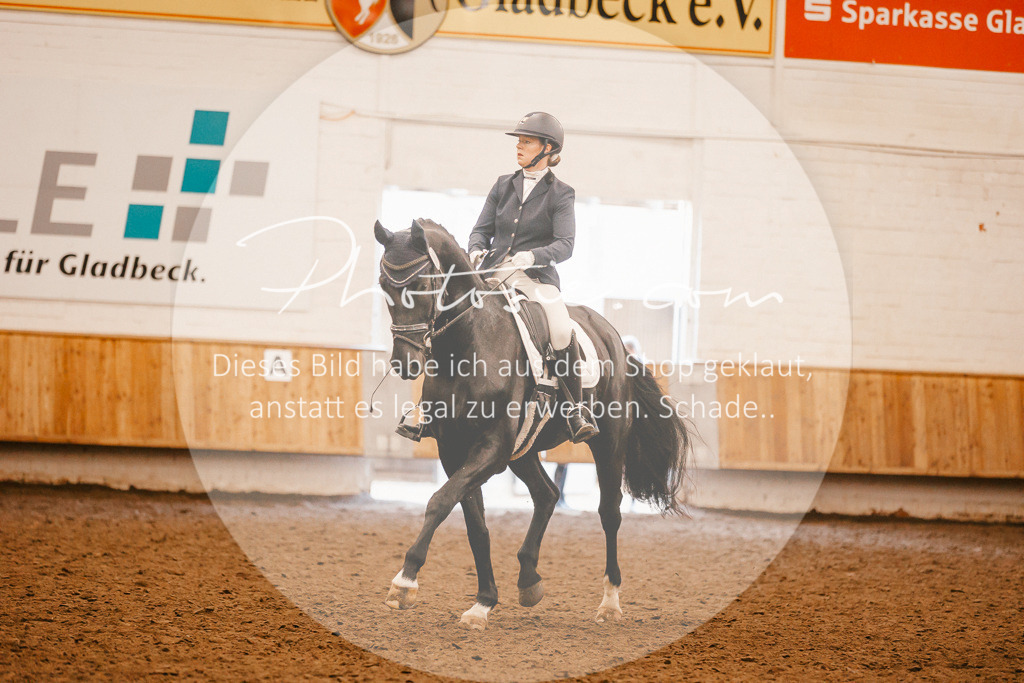 3I6A1786 | Stimmungsvolle Portraits und Reitsportfotografie im Ruhrgebiet und im Münsterland.

Pferdefotografie, Hundefotografie, Tierfotografie, Reportagen, Portraits von Tier und Mensch, Turnierfotografie in Bochum, Recklinghausen, Marl, Haltern am See, Dülmen.. - Realisiert mit Pictrs.com
