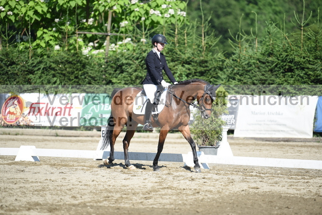 DSC_7660 | equestrian-live-com